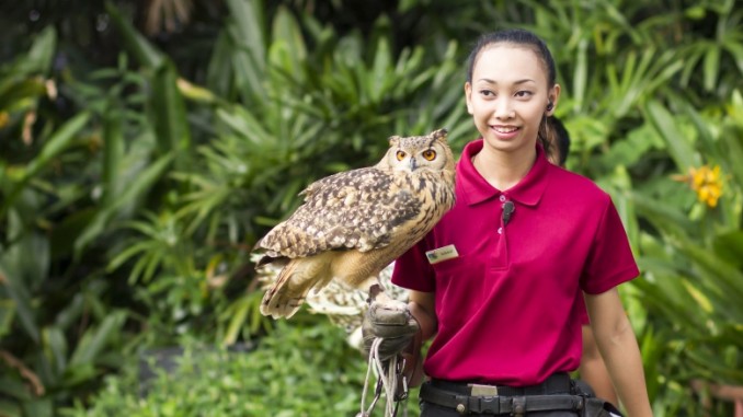 jurong-bird-park-singapur