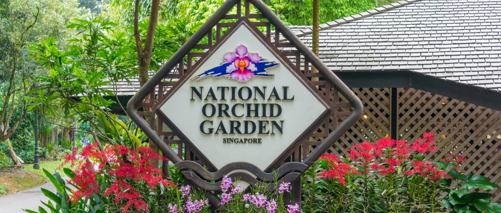 Singapur Orchideengarten Ist Einfach Wunderschon