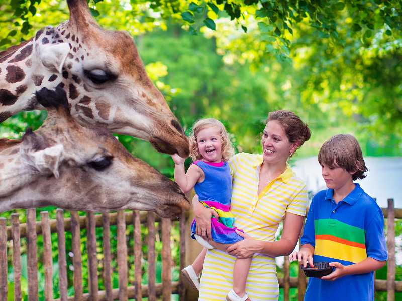 Besucher im Zoo