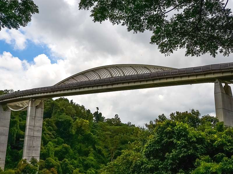 Blick auf die Henderson Waves Bridge