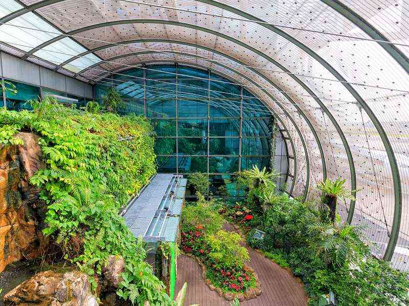 Blick in den Schmetterlingsgarten