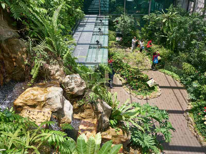 Changi Airport Butterfly Garden
