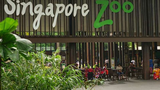 singapore-zoo Singapore Zoo