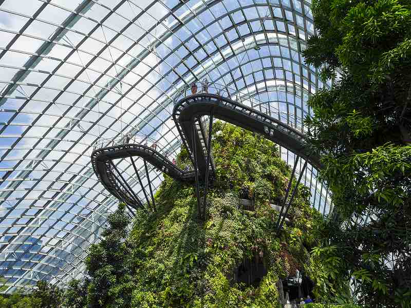 Singapur Cloud Forest