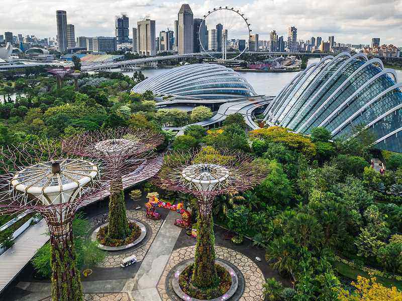 Supertrees und Cloud Forest